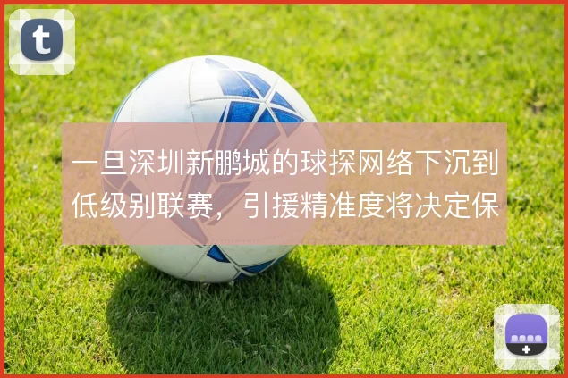一旦深圳新鹏城的球探网络下沉到低级别联赛，引援精准度将决定保级成本